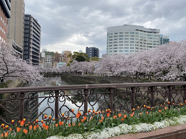 天神中央公園（写真3）