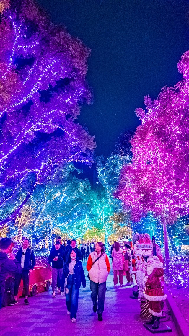 アクロス福岡イルミネーション（写真1）