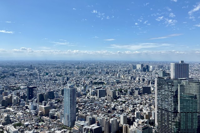 東京都庁第一本庁舎 南展望室（写真3）