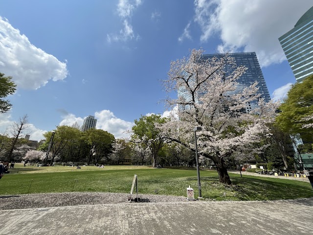 芝生広場（写真1）