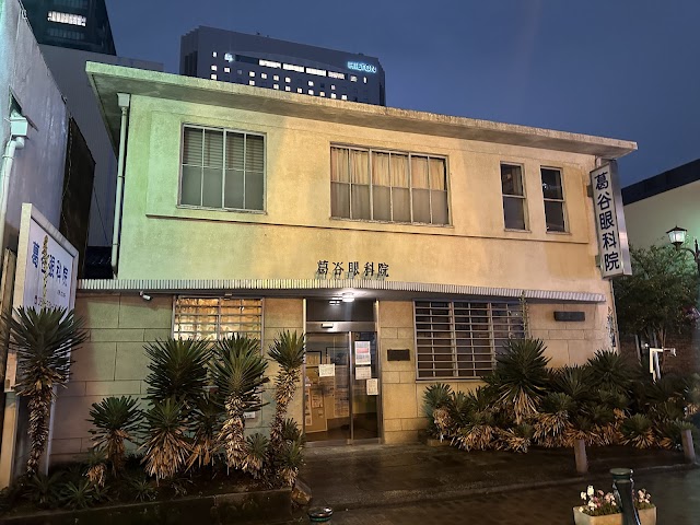 葛谷眼科院（写真1）