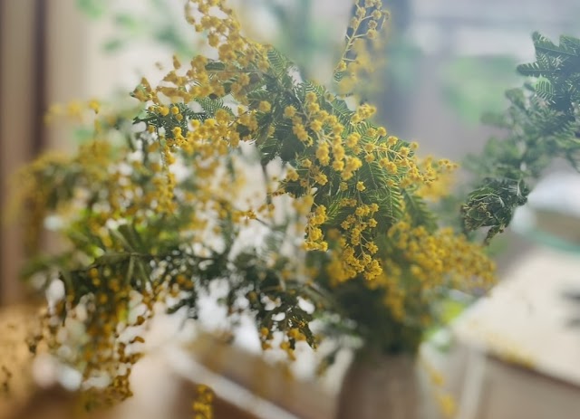 next door リリー結婚相談所(写真2)