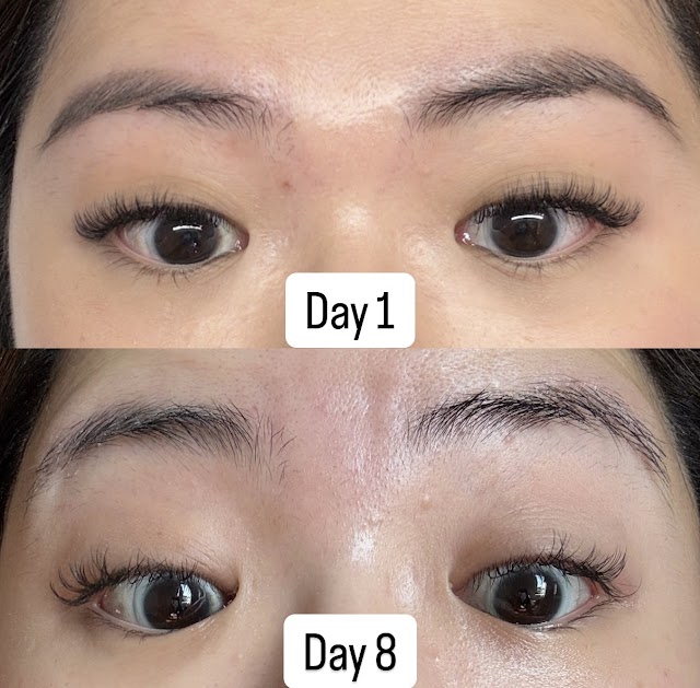 Lucia Lash/Brow shinjuku /lash Lift /brow lamination /Eyelash extension 新宿 パリジェンヌ マスカラパーマ/まつ毛パーマ/マツエク/眉毛サロン(写真2)