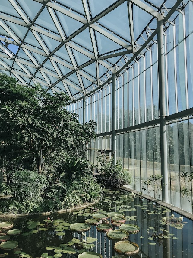 温室（写真2）