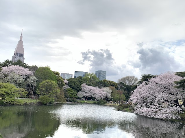 新宿御苑（写真1）