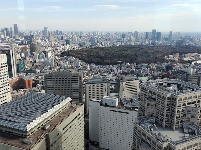 東京都庁第一本庁舎（写真2）