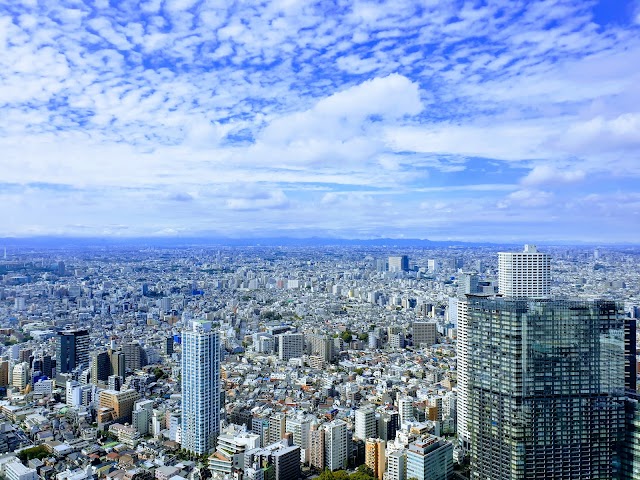 東京都庁第一本庁舎 北展望室（写真2）