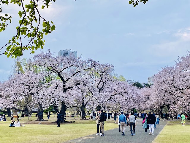 新宿御苑（写真2）