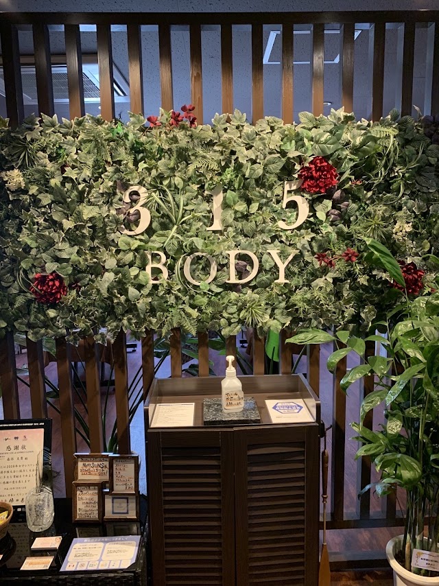 315BODY(写真2)