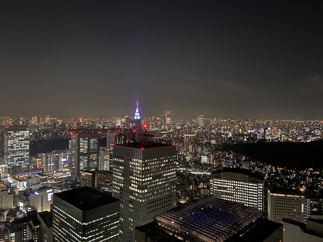 東京都庁第一本庁舎 南展望室（写真1）