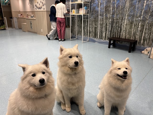 サモエドカフェ アル 仙台店（写真3）
