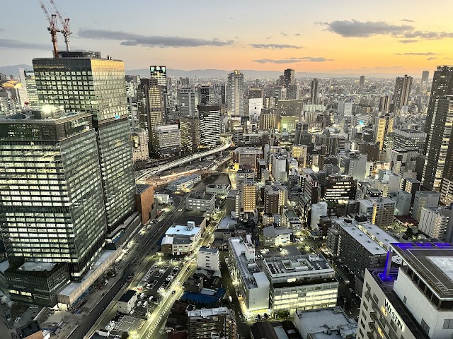 新・里山（写真1）