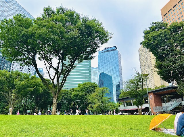 芝生広場（写真2）