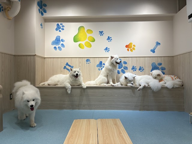 サモエドカフェ アル 名古屋栄店（写真3）